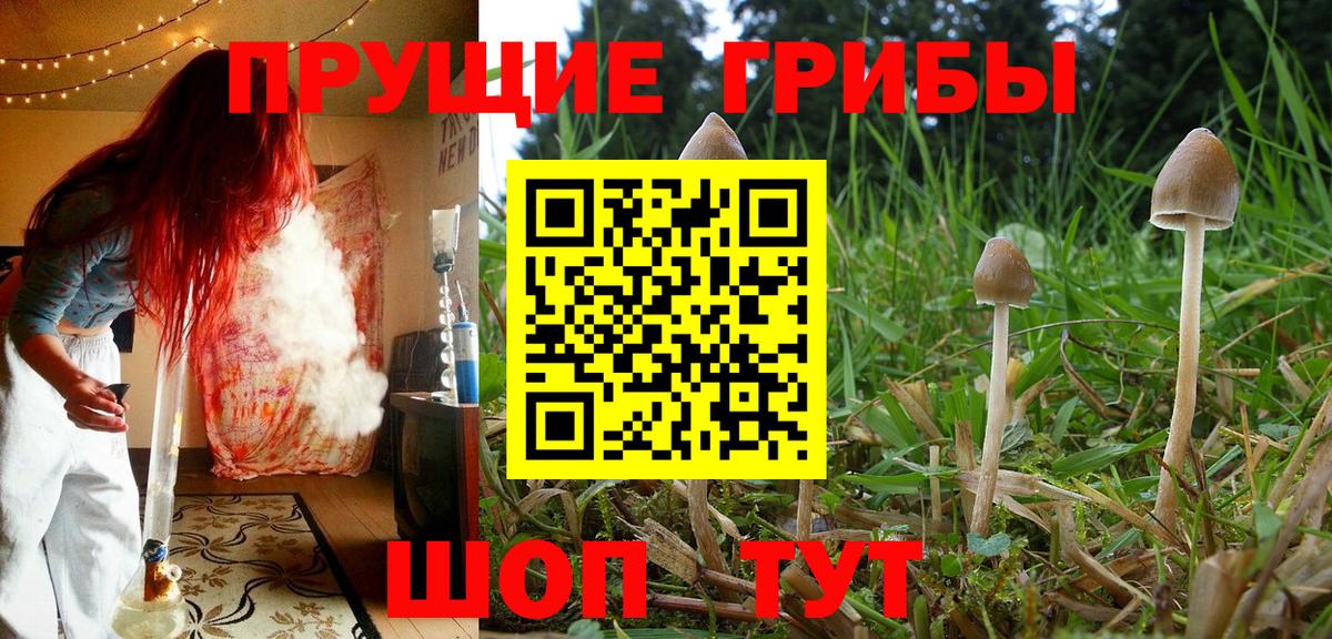 Псилоцибиновые грибы Cubensis  закладки  Котельники  Вход с VPN 