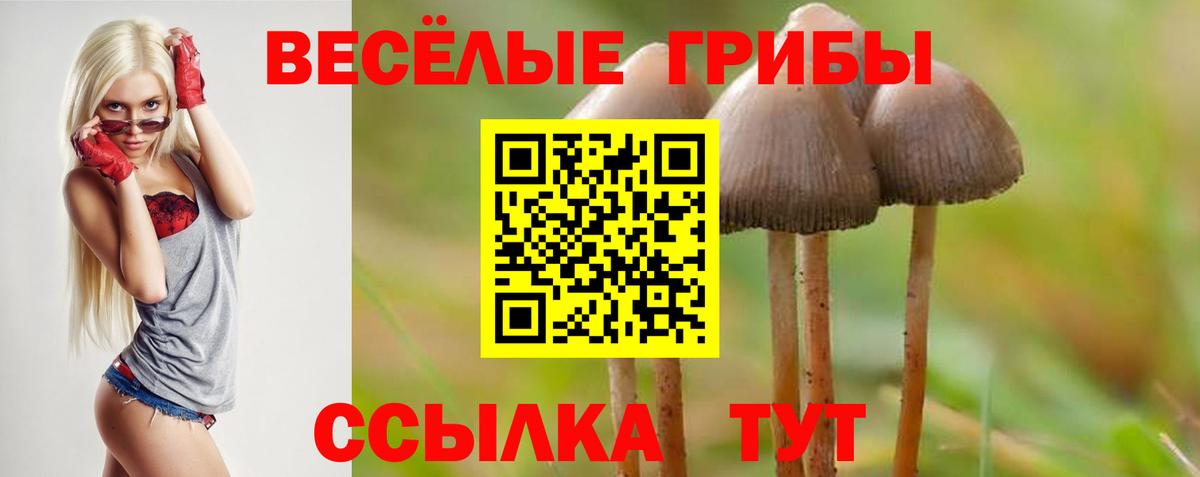 Псилоцибиновые грибы мицелий Котельники